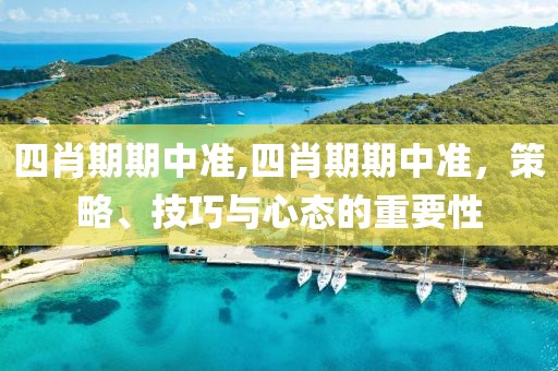 四肖期期中准,四肖期期中准，策略、技巧与心态的重要性