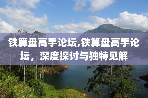 铁算盘高手论坛,铁算盘高手论坛，深度探讨与独特见解