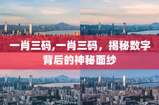 一肖三码,一肖三码，揭秘数字背后的神秘面纱