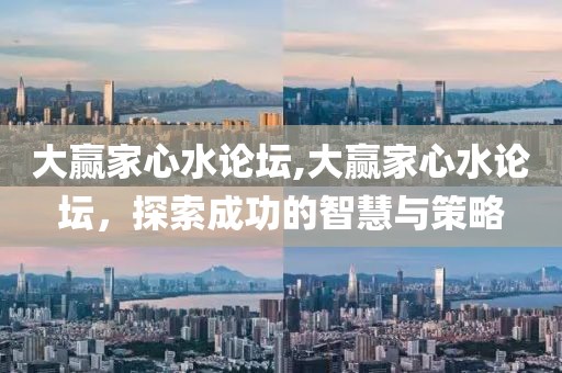 大赢家心水论坛,大赢家心水论坛，探索成功的智慧与策略