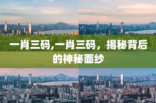 一肖三码,一肖三码，揭秘背后的神秘面纱