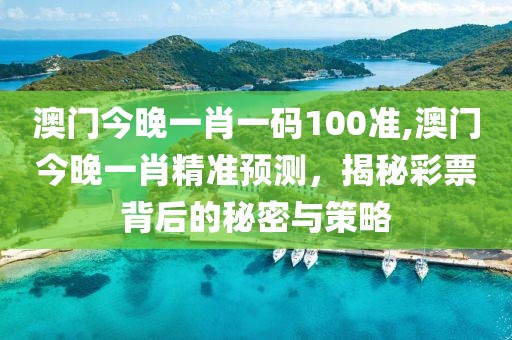 澳门今晚一肖一码100准,澳门今晚一肖精准预测，揭秘彩票背后的秘密与策略