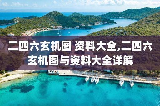 二四六玄机图 资料大全,二四六玄机图与资料大全详解
