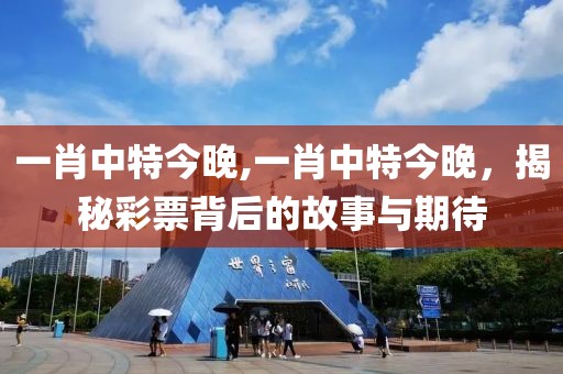 一肖中特今晚,一肖中特今晚，揭秘彩票背后的故事与期待