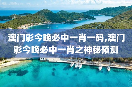 澳门彩今晚必中一肖一码,澳门彩今晚必中一肖之神秘预测
