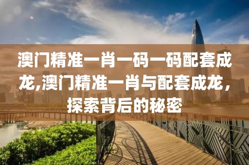 澳门精准一肖一码一码配套成龙,澳门精准一肖与配套成龙，探索背后的秘密
