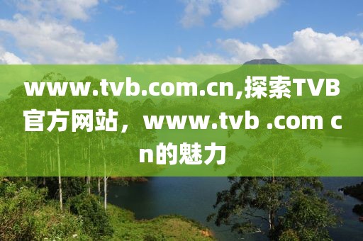 www.tvb.com.cn,探索TVB官方网站，www.tvb .com cn的魅力