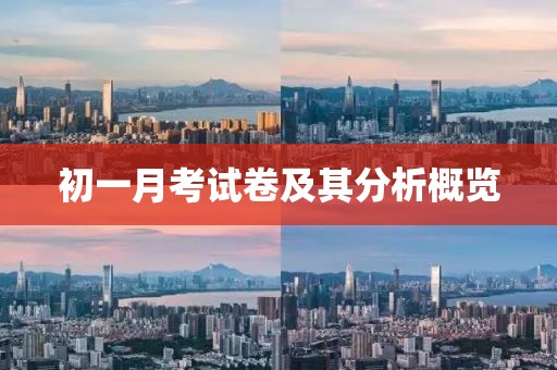 初一月考试卷及其分析概览