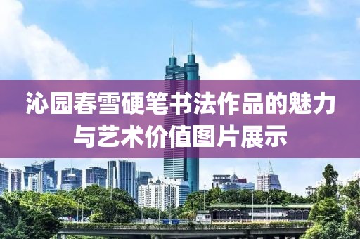 沁园春雪硬笔书法作品的魅力与艺术价值图片展示