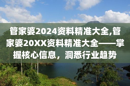 管家婆2024资料精准大全,管家婆20XX资料精准大全——掌握核心信息，洞悉行业趋势