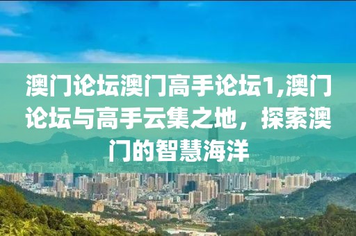 澳门论坛澳门高手论坛1,澳门论坛与高手云集之地，探索澳门的智慧海洋