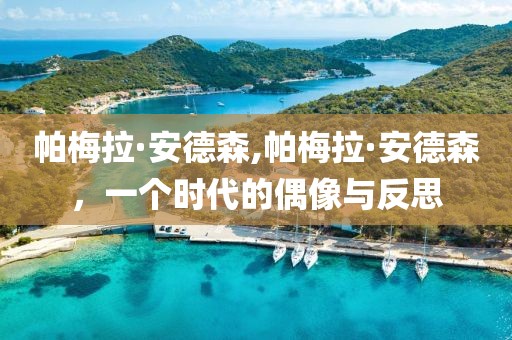 帕梅拉·安德森,帕梅拉·安德森，一个时代的偶像与反思