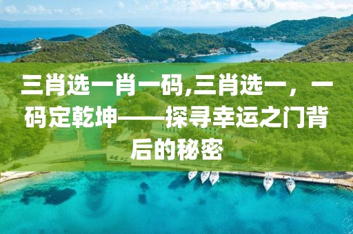 三肖选一肖一码,三肖选一，一码定乾坤——探寻幸运之门背后的秘密