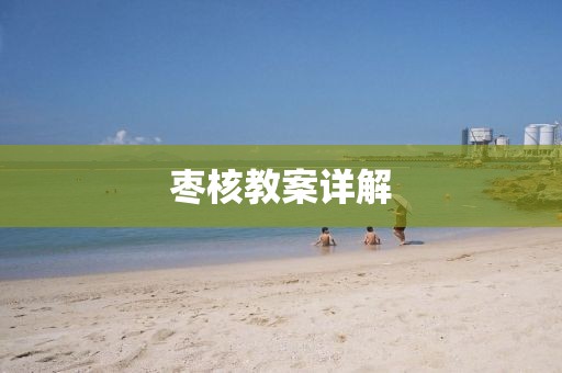 枣核教案详解