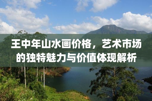 王中年山水画价格，艺术市场的独特魅力与价值体现解析