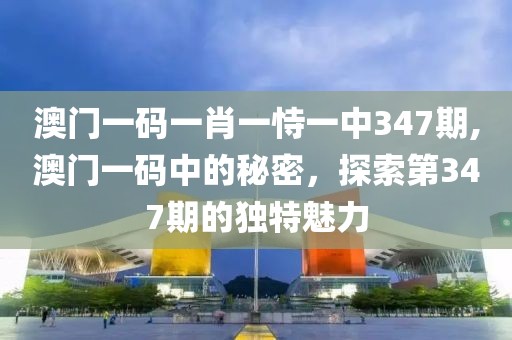 澳门一码一肖一恃一中347期,澳门一码中的秘密，探索第347期的独特魅力
