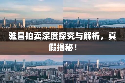 雅昌拍卖深度探究与解析，真假揭秘！