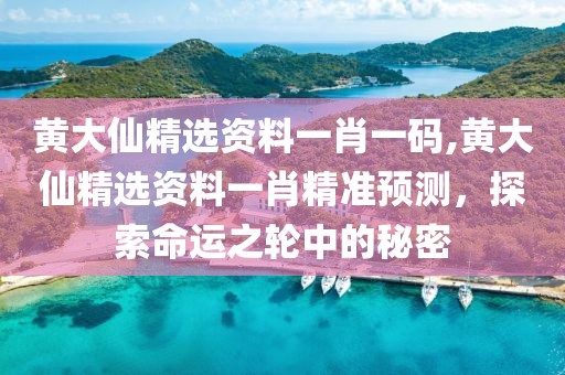 黄大仙精选资料一肖一码,黄大仙精选资料一肖精准预测，探索命运之轮中的秘密