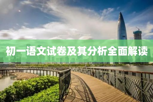 初一语文试卷及其分析全面解读