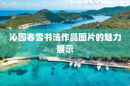 沁园春雪书法作品图片的魅力展示