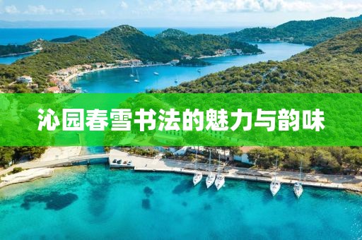 沁园春雪书法的魅力与韵味