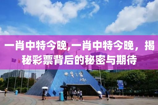 一肖中特今晚,一肖中特今晚，揭秘彩票背后的秘密与期待