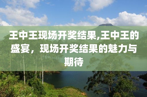 王中王现场开奖结果,王中王的盛宴，现场开奖结果的魅力与期待