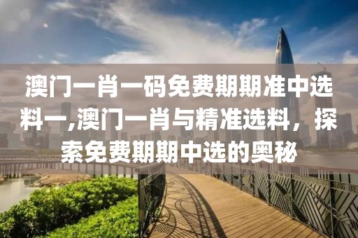 澳门一肖一码免费期期准中选料一,澳门一肖与精准选料，探索免费期期中选的奥秘