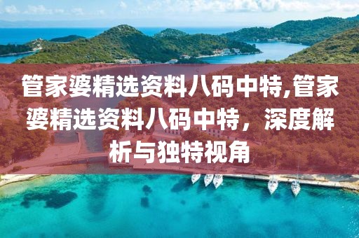 管家婆精选资料八码中特,管家婆精选资料八码中特，深度解析与独特视角