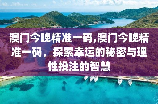 澳门今晚精准一码,澳门今晚精准一码，探索幸运的秘密与理性投注的智慧