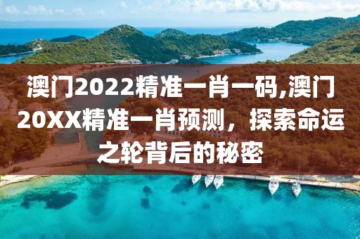 澳门2022精准一肖一码,澳门20XX精准一肖预测，探索命运之轮背后的秘密