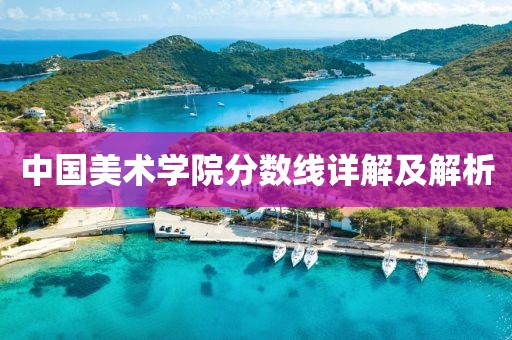 中国美术学院分数线详解及解析