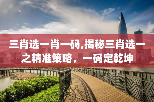 三肖选一肖一码