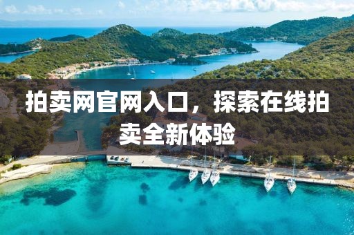 拍卖网官网入口，探索在线拍卖全新体验