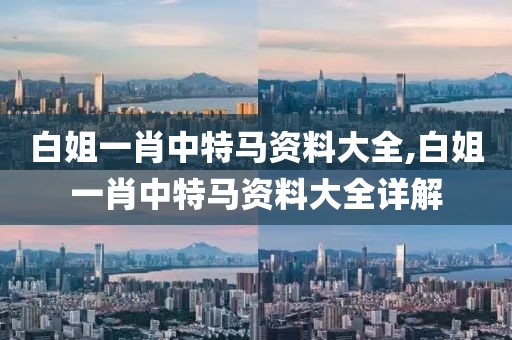 白姐一肖中特马资料大全,白姐一肖中特马资料大全详解