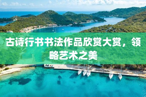 古诗行书书法作品欣赏大赏，领略艺术之美