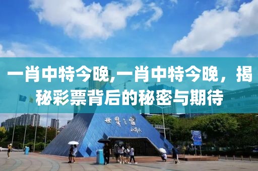一肖中特今晚,一肖中特今晚，揭秘彩票背后的秘密与期待