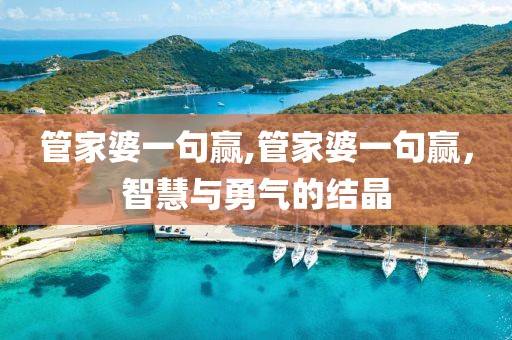 管家婆一句赢,管家婆一句赢，智慧与勇气的结晶