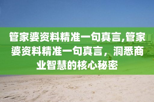 管家婆资料精准一句真言,管家婆资料精准一句真言，洞悉商业智慧的核心秘密