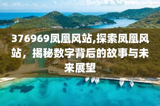 376969凤凰风站,探索凤凰风站，揭秘数字背后的故事与未来展望