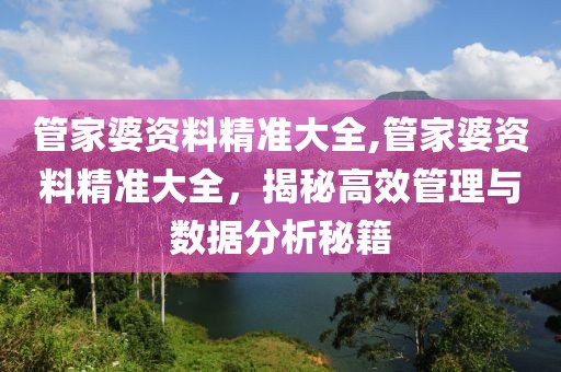 管家婆资料精准大全,管家婆资料精准大全，揭秘高效管理与数据分析秘籍