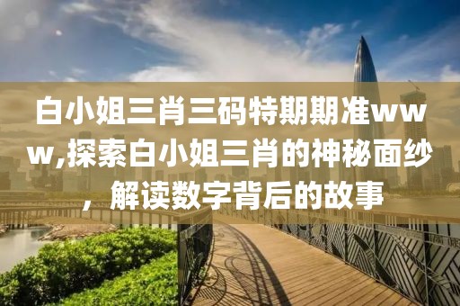 白小姐三肖三码特期期准www,探索白小姐三肖的神秘面纱，解读数字背后的故事