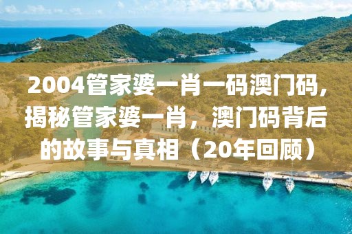 2004管家婆一肖一码澳门码,揭秘管家婆一肖，澳门码背后的故事与真相（20年回顾）