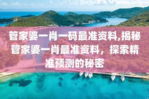 管家婆一肖一码最准资料,揭秘管家婆一肖最准资料，探索精准预测的秘密
