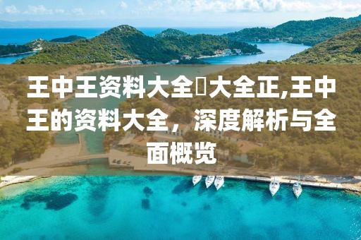 王中王资料大全枓大全正,王中王的资料大全，深度解析与全面概览
