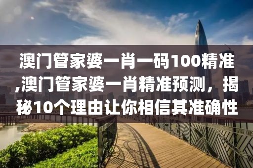 澳门管家婆一肖一码100精准,澳门管家婆一肖精准预测，揭秘10个理由让你相信其准确性