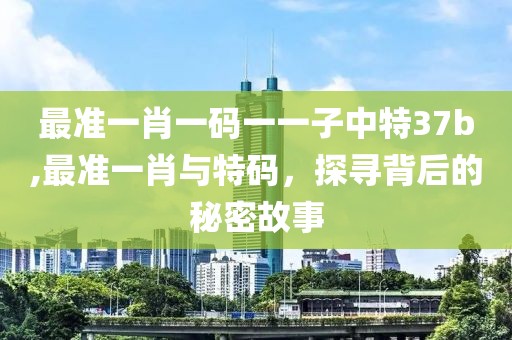 最准一肖一码一一子中特37b,最准一肖与特码，探寻背后的秘密故事