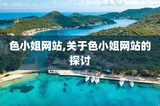 色小姐网站,关于色小姐网站的探讨