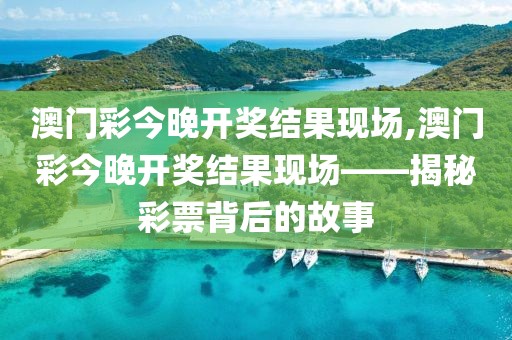 澳门彩今晚开奖结果现场,澳门彩今晚开奖结果现场——揭秘彩票背后的故事
