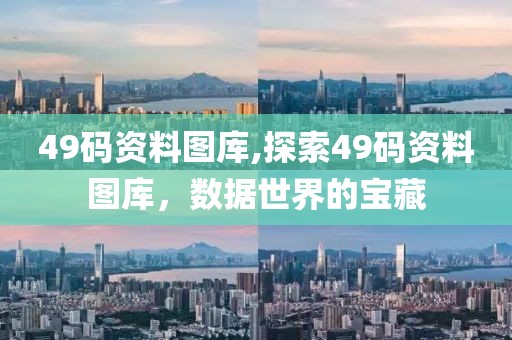 49码资料图库,探索49码资料图库，数据世界的宝藏